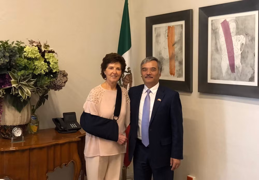 Impulsan cooperación cultural Vietnam-México ảnh 1