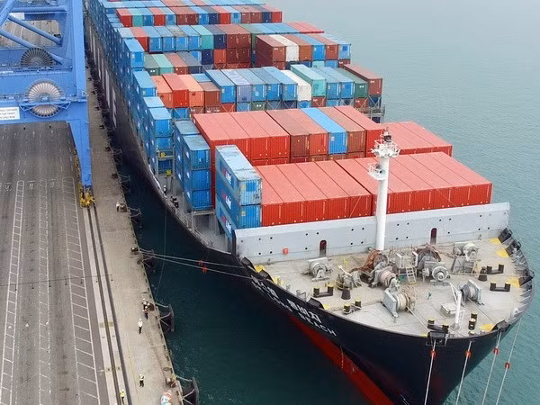 Exportaciones vietnamitas se dirigen a mercados de libre comercio ảnh 1