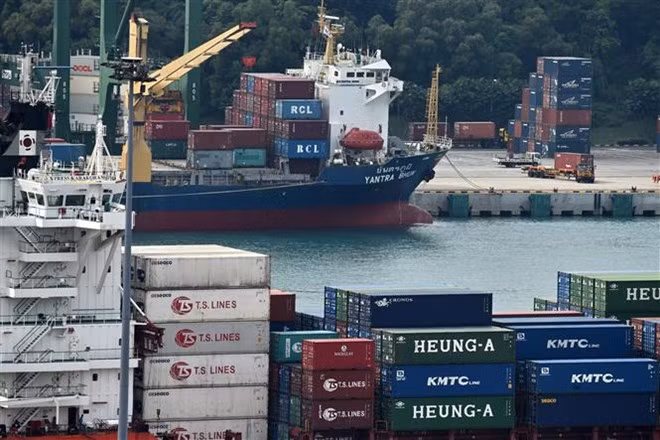 Crecen exportaciones no petroleas de Singapur en mayo ảnh 1