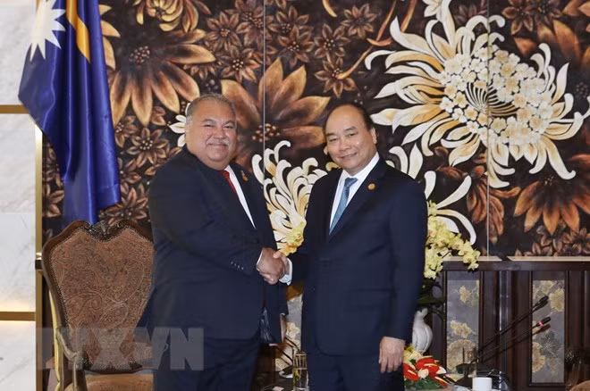 Vietnam pretende elevar relaciones con países del Pacífico y América del Sur ảnh 1
