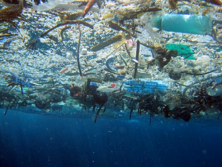 Vietnam responde al Día Mundial del Medio Ambiente y a la Semana del Mar y las Islas ảnh 1