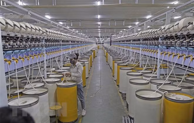 Destaca vicecanciller italiano oportunidades de cooperación con Vietnam ảnh 2