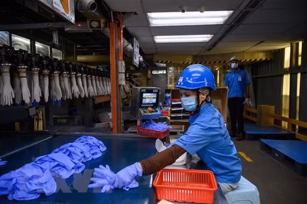 ASEAN y Corea del Sur refuerzan cooperación en trabajo y empleo ảnh 1
