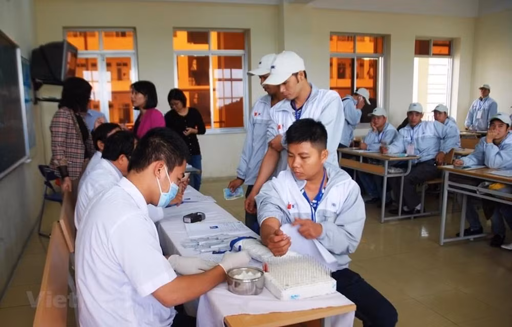 Extienden estadía de trabajadores vietnamitas en Corea del Sur ảnh 1 Extienden estadía de trabajadores vietnamitas en Corea del Sur ảnh 1