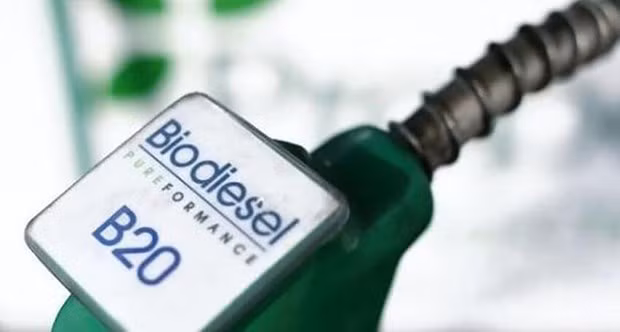 Indonesia, mayor productor de biodiésel del mundo ảnh 1