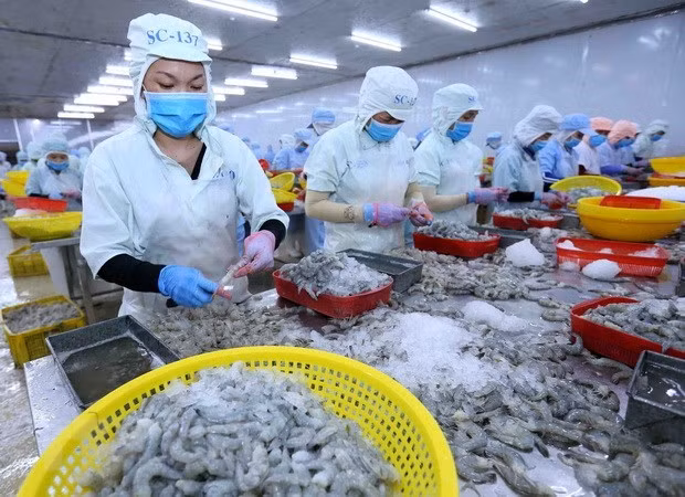 Plataforma de comercio electrónico impulsa exportaciones de Vietnam a Europa ảnh 1 Plataforma de comercio electrónico impulsa exportaciones de Vietnam a Europa ảnh 1