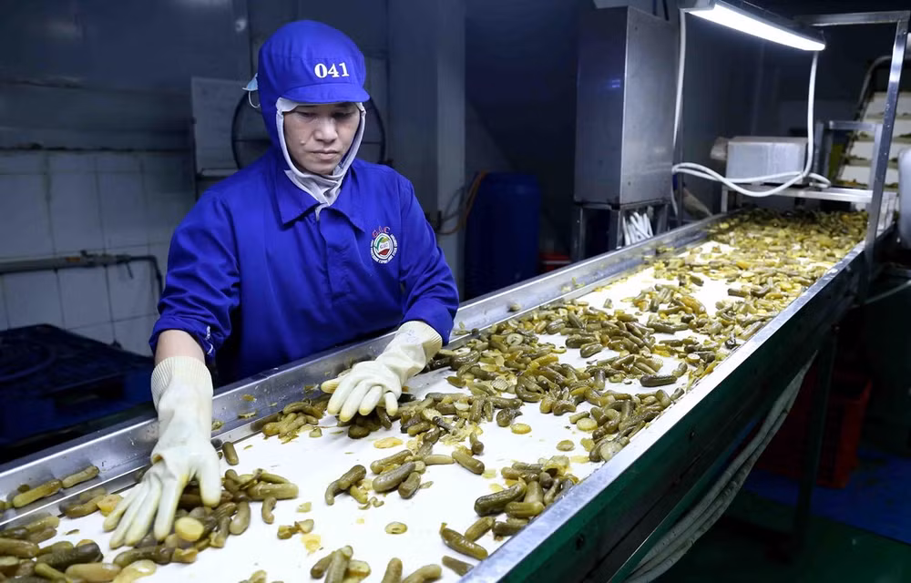 Promueven lazos comerciales entre provincia sudáfrica y socios vietnamitas ảnh 1 Promueven lazos comerciales entre provincia sudáfrica y socios vietnamitas ảnh 1