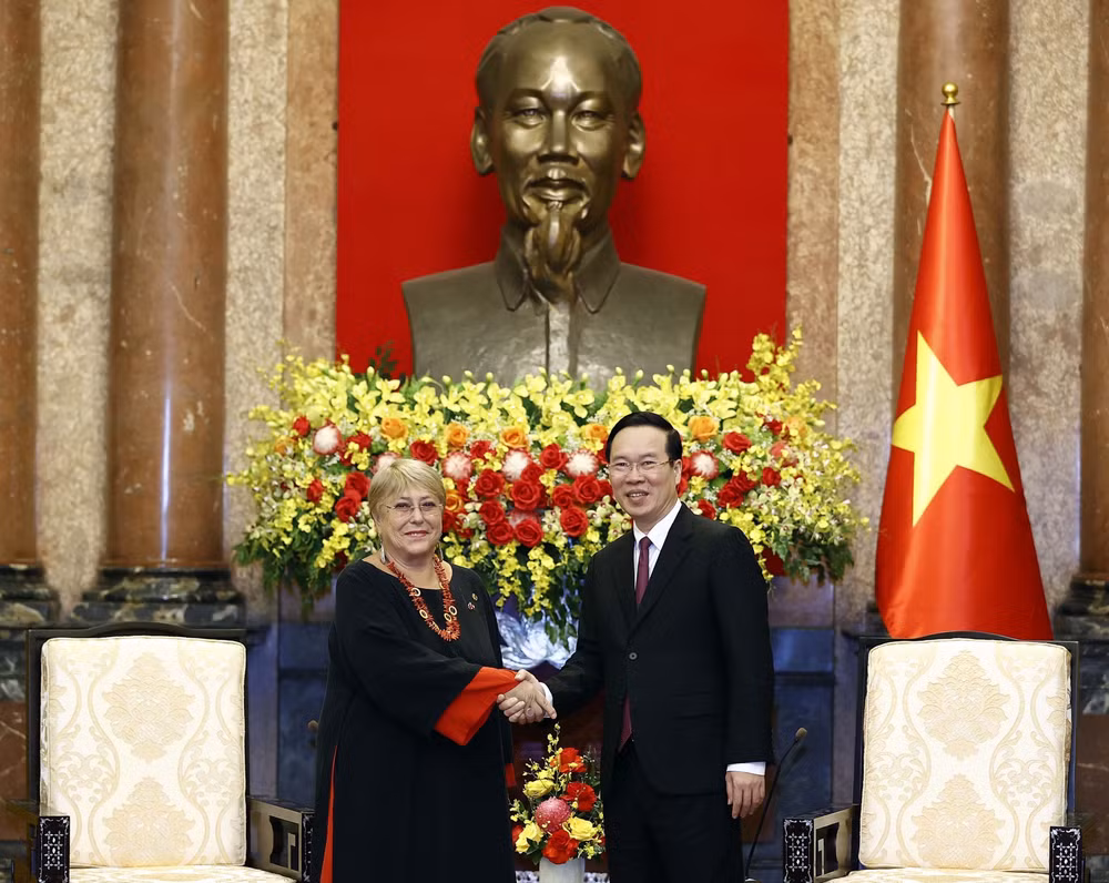 Vietnam y Ho Chi Minh, raíz y estrella ảnh 12