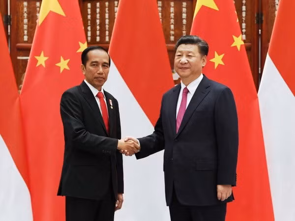 Indonesia y China aspiran fomentar cooperación económica ảnh 1
