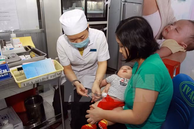 Fortalecen cooperación entre Ciudad Ho Chi Minh y UNICEF ảnh 1