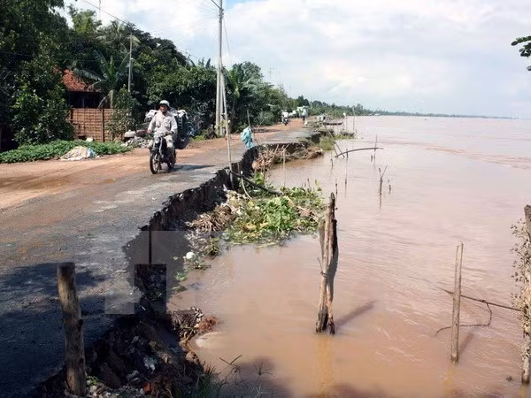 Intercambian Vietnam y Canadá experiencias de respuesta a cambio climático ảnh 1