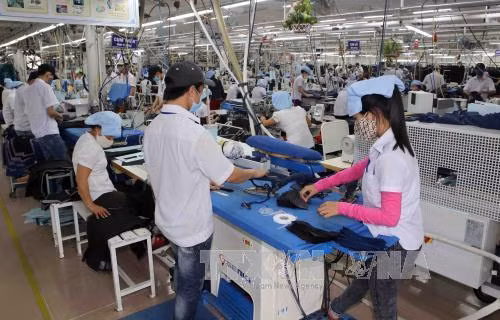 Azltán Textil de México aspira a cooperar con empresas de Vietnam ảnh 1