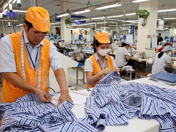 Vietnam prepara modificaciones de código de trabajo ảnh 1