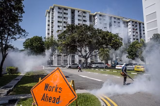 Singapur permitirá a pacientes infectados de Zika recuperarse en casa ảnh 1