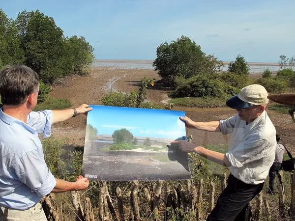 Alemania ayuda Vietnam en proyectos ambientales ảnh 1