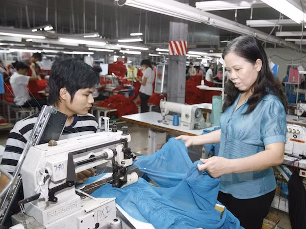 Empresas vietnamitas buscan oportunidades de negocios en Rusia ảnh 1 Empresas vietnamitas buscan oportunidades de negocios en Rusia ảnh 1