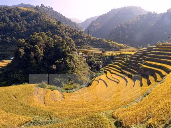 Mu Cang Chai: destino atractivo con escenas majestuosas ảnh 1