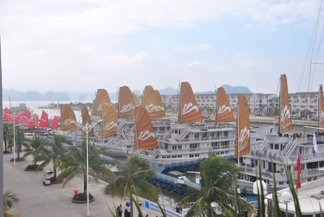 Inauguran nuevo puerto internacional en Quang Ninh ảnh 1 Inauguran nuevo puerto internacional en Quang Ninh ảnh 1