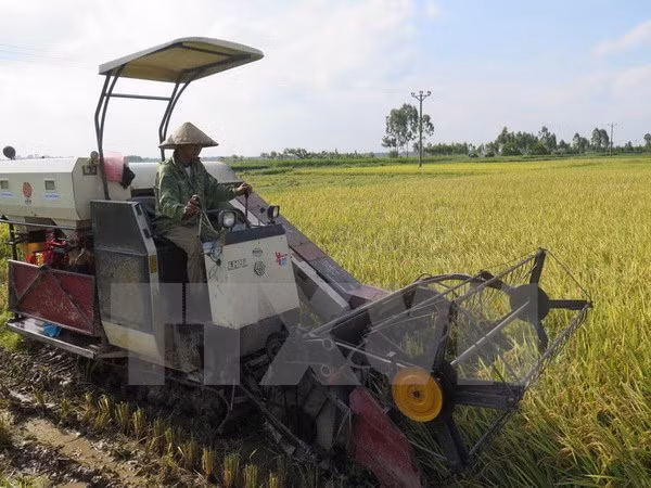Vietnam y Japón robustecen cooperación en agricultura ảnh 1 Vietnam y Japón robustecen cooperación en agricultura ảnh 1