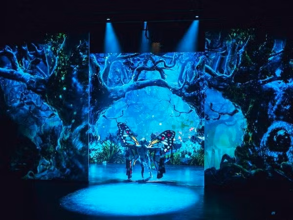 Primera presentación artística 3D engalanará escenario capitalino ảnh 1