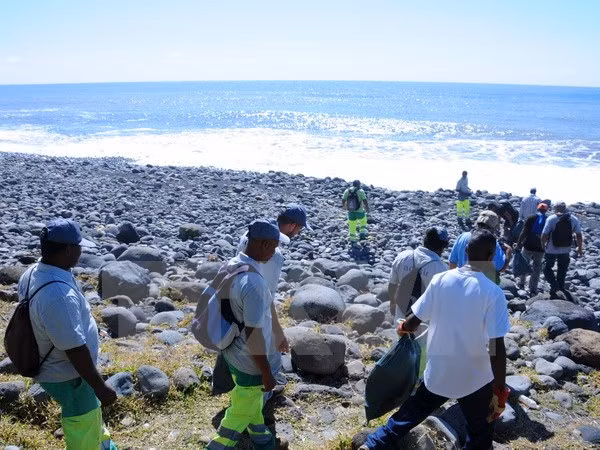 Terminan búsqueda de fragmentos de MH370 en isla Reunión ảnh 1