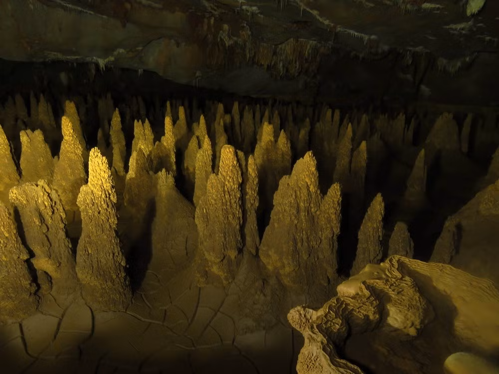 Nuevas ofertas para aventureros de cavernas en Phong Nha – Ke Bang ảnh 1