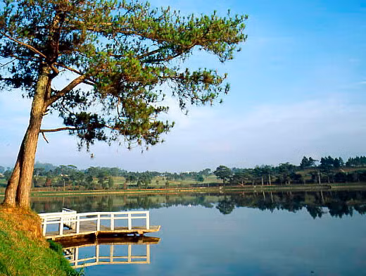 Da Lat será centro de turismo y agricultura de alto nivel ảnh 2