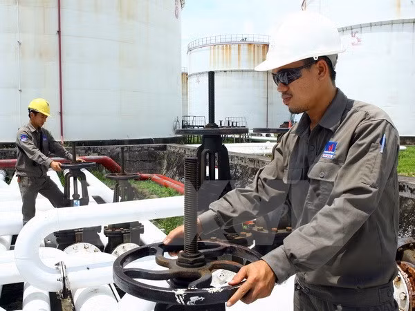 PetroVietnam comienza extracción petrolera en Argelia ảnh 1