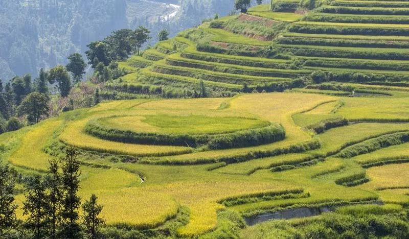 Celebrarán festival otoñal de meseta blanca de Bac Ha ảnh 1
