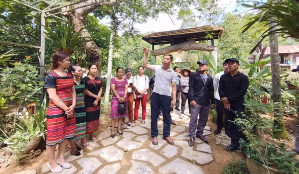 Respaldan a minorías étnicas en Vietnam en mejora de servicios ecoturísticos ảnh 1
