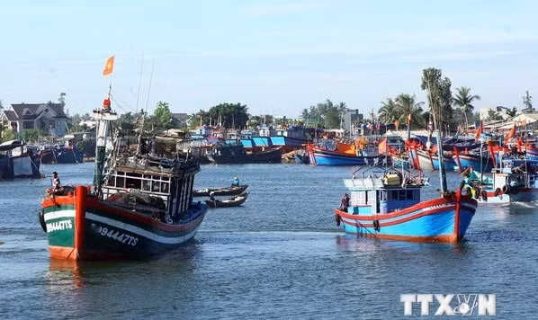 Viceministro vietnamita insta a sanciones estrictas contra pesca ilegal ảnh 2