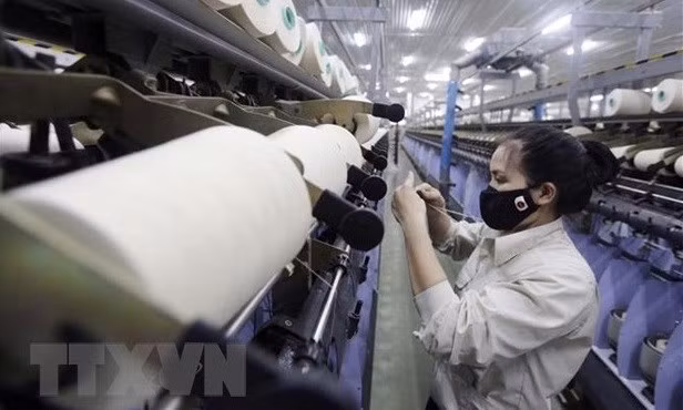 Economía vietnamita mantiene estable este año, califica experto ruso ảnh 1