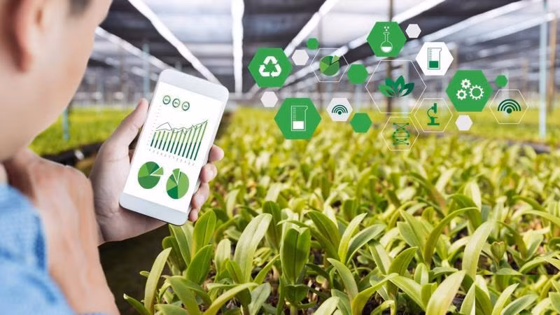 Transformación digital ayuda a desarrollar agricultura sostenible en Vietnam ảnh 1