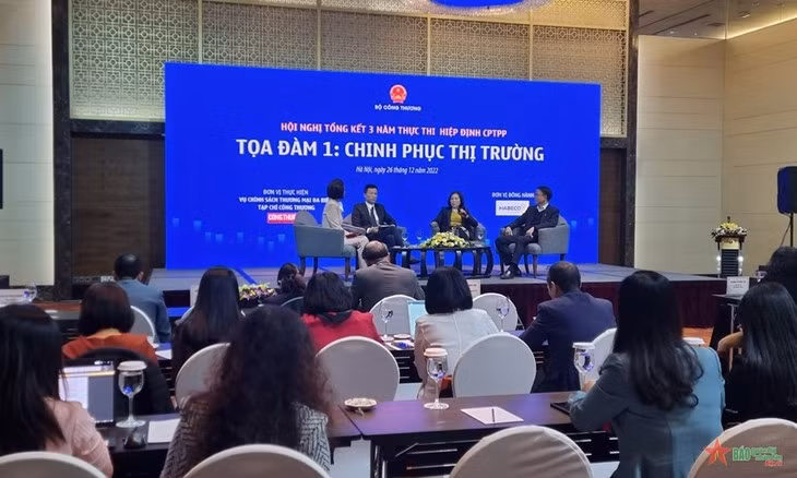 Empresas vietnamitas explotan cada vez mejor el CPTPP ảnh 1
