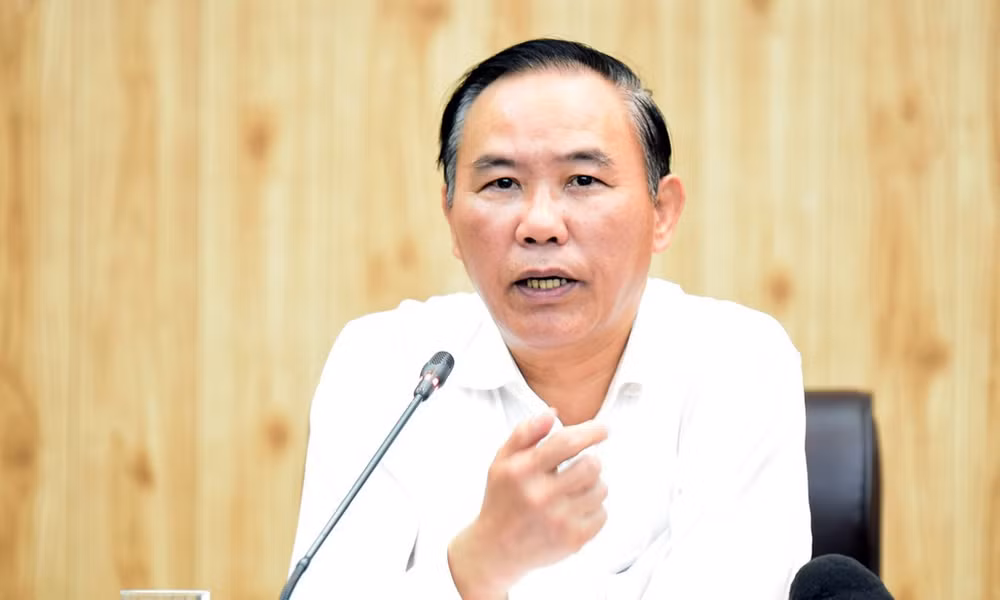 Viceministro vietnamita insta a sanciones estrictas contra pesca ilegal ảnh 1