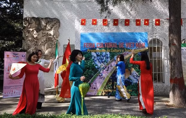 Feria enaltece a cultura vietnamita en México ảnh 2