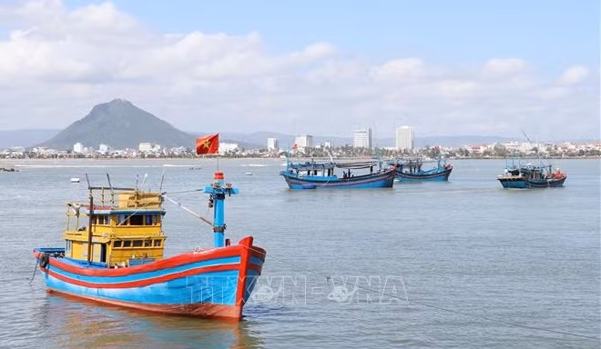 Provincia de Khanh Hoa avanza en la lucha contra pesca ilegal ảnh 1