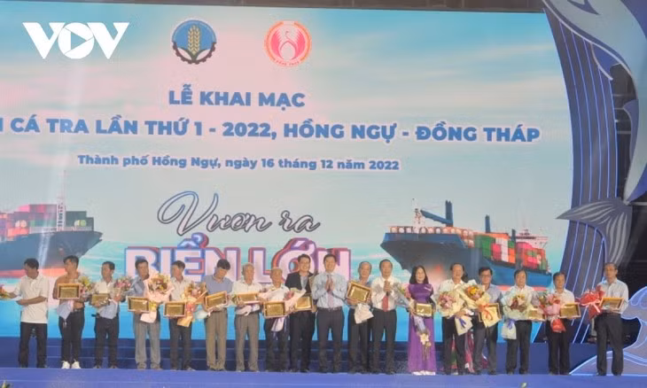 Efectúan primer festival de pangasius en Dong Thap ảnh 1