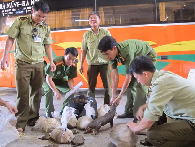 Honran a vietnamitas por esfuerzos en protección de animales salvajes ảnh 1