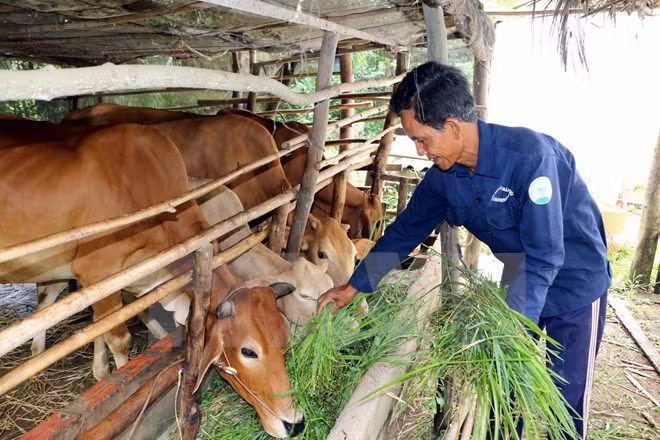 Empeñado Vietnam en elevar línea de pobreza ảnh 1 Empeñado Vietnam en elevar línea de pobreza ảnh 1
