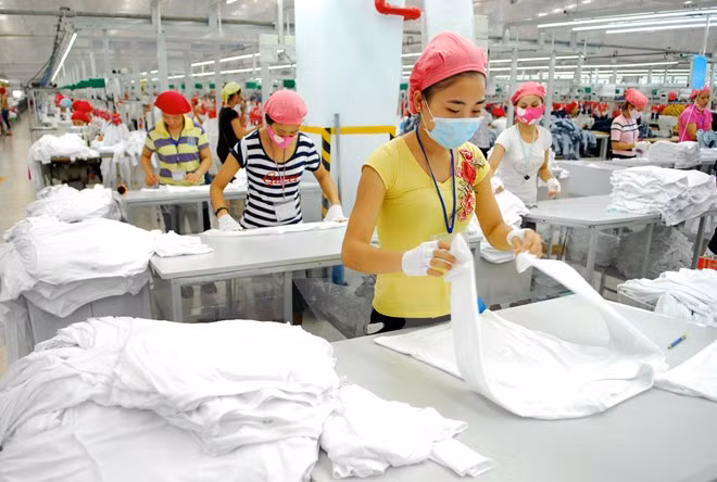 Exportadores enfrentan fuerte competencia de rivales forános ảnh 1