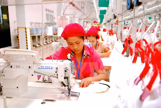 Sector textil de Vietnam después de la entrada al TPP ảnh 1