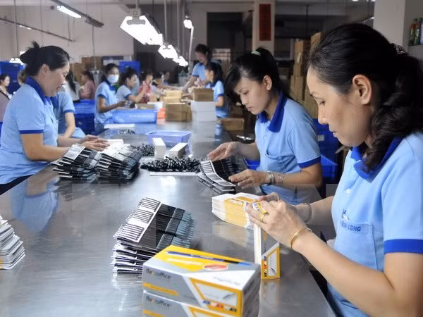 Buscan empresas indias oportunidades de inversión en Nam Dinh ảnh 1