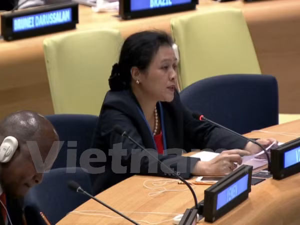 Vietnam respalda a ejecución jurídica sobre la base de Carta de ONU ảnh 1