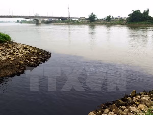 Seguridad hídrica, gran reto para futuro de Vietnam ảnh 1