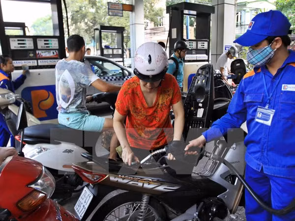 Vietnam determina aumentar uso de biogasolina ảnh 1