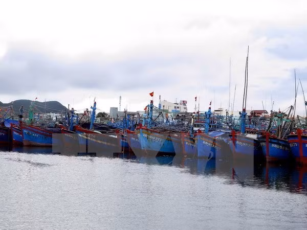 Provincia centrovietnamita promueve pesca en alta mar ảnh 1
