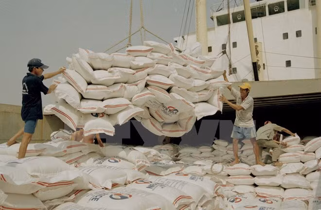 Indonesia importará arroz de Vietnam y Tailandia ảnh 1