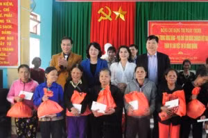 Vicepresidenta de Vietnam entrega donaciones a personas desfavorecidas ảnh 1
