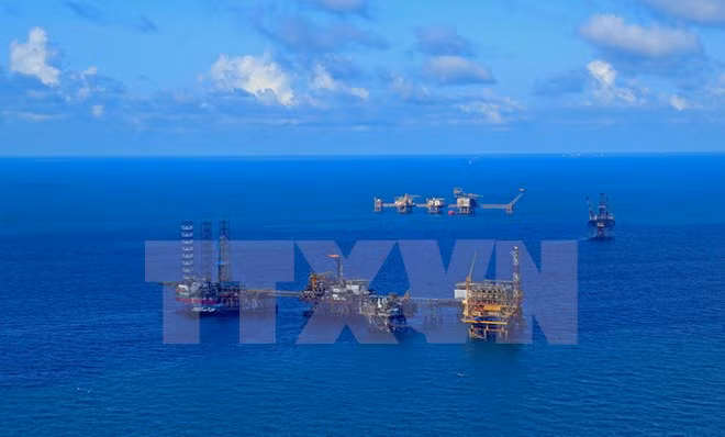 Grupo petrolero de Vietnam aumenta su reserva en 2018 ảnh 1 Grupo petrolero de Vietnam aumenta su reserva en 2018 ảnh 1